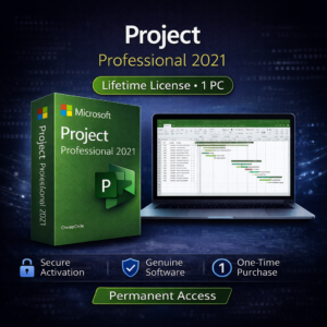 Project Professional 2021 Lifetime License 1 PC